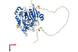 AlphaFold protein structure predicition of Human Recombinant DBR1 Protein, UniprotID Q9UK59