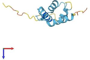 AlphaFold protein structure predicition of Human Recombinant S100A14 Protein, UniprotID Q9HCY8