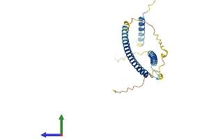 AlphaFold protein structure predicition of Human Recombinant MXD3 Protein, UniprotID Q9BW11