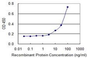 anti-SH3-Domain GRB2-Like 1 (SH3GL1) (AA 12-119) antibody