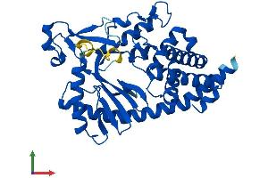 AlphaFold protein structure predicition of Mouse Recombinant Mab21l2 Protein, UniprotID Q8BPP1