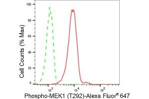 Flow cytometric analysis of Phospho-MEK1 (T292) expression in C2C12 cells using Phospho-MEK1 (T292) antibody (ABIN7799463), 1:2,000). (Recombinant MEK1 anticorps  (pThr292))