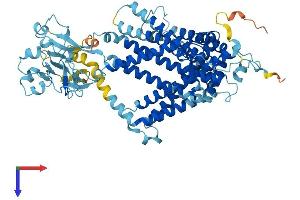 AlphaFold protein structure predicition of Human Recombinant SLC44A2 Protein, UniprotID Q8IWA5