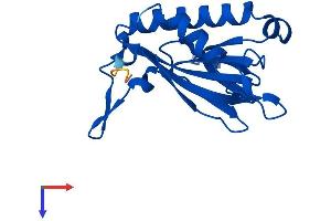 AlphaFold protein structure predicition of Human Recombinant DTD2 Protein, UniprotID Q96FN9
