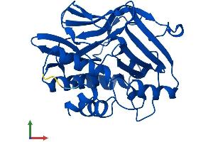 AlphaFold protein structure predicition of Mouse Recombinant Nat2 Protein, UniprotID P50295