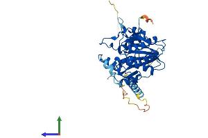 AlphaFold protein structure predicition of Human Recombinant B3GNT4 Protein, UniprotID Q9C0J1