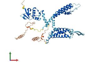 AlphaFold protein structure predicition of Human Recombinant KCNC1 Protein, UniprotID P48547