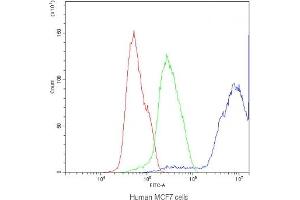 Flow cytometry testing of human MCF7 cells with DBI antibody at 1ug/10^6 cells (blocked with goat sera)