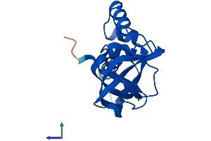 AlphaFold protein structure predicition of Human Recombinant EOLA1 Protein, UniprotID Q8TE69