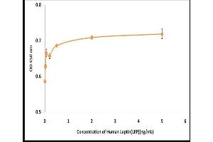 Activity Assay (AcA) image for Leptin (LEP) (Active) protein (ABIN5509495) (Leptin Protein (LEP))