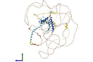 AlphaFold protein structure predicition of Mouse Recombinant Sox30 Protein, UniprotID Q8CGW4