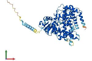 AlphaFold protein structure predicition of Mouse Recombinant Cyp1b1 Protein, UniprotID Q64429