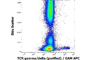Flow cytometry surface staining pattern of human peripheral whole blood stained using anti-human TCR gamma/delta (11F2) purified antibody (concentration in sample 1,7 μg/mL, GAM APC). (TCR gamma/delta anticorps)