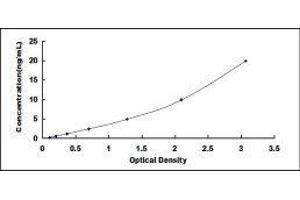 Typical standard curve (Biglycan Kit ELISA)