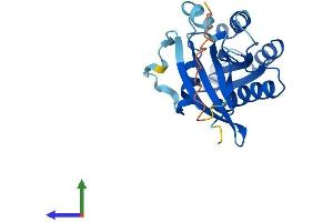 AlphaFold protein structure predicition of Mouse Recombinant Rab39a Protein, UniprotID Q8BHD0