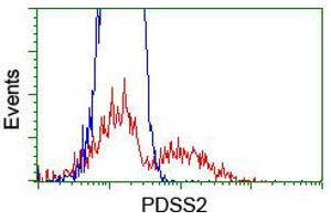 HEK293T cells transfected with either RC207892 overexpress plasmid (Red) or empty vector control plasmid (Blue) were immunostained by anti-PDSS2 antibody (ABIN2455314), and then analyzed by flow cytometry. (PDSS2 anticorps)