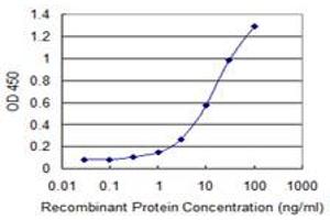 anti-RuvB-Like 2 (E. Coli) (RUVBL2) (AA 1-463) antibody