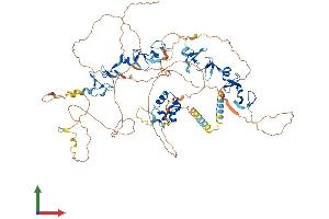 AlphaFold protein structure predicition of Human Recombinant ABLIM1 Protein, UniprotID O14639