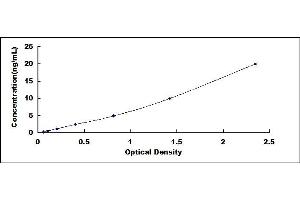 Typical standard curve (TLR1 Kit ELISA)