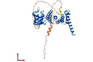 AlphaFold protein structure predicition of Mouse Recombinant Fkbpl Protein, UniprotID O35450