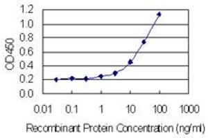 Detection limit for recombinant GST tagged ING4 is 0.