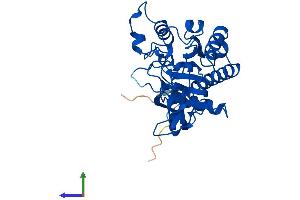 AlphaFold protein structure predicition of Mouse Recombinant Acy3 Protein, UniprotID Q91XE4