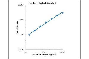 ELISA image for Epidermal Growth Factor (EGF) ELISA Kit (ABIN2472105) (EGF Kit ELISA)