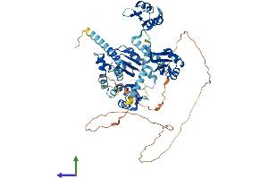AlphaFold protein structure predicition of Human Recombinant PABPC1 Protein, UniprotID P11940