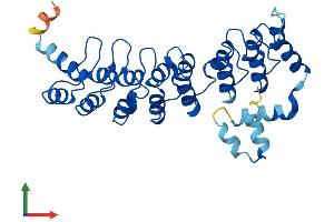 AlphaFold protein structure predicition of Mouse Recombinant Asb7 Protein, UniprotID Q91ZU0