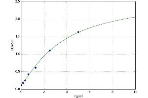 Charcot-Leyden Crystal Protein (CLC) ELISA Kit
