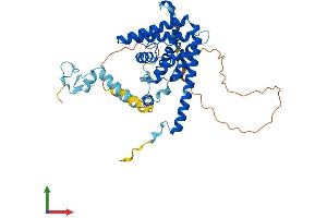 AlphaFold protein structure predicition of Human Recombinant ZNHIT2 Protein, UniprotID Q9UHR6