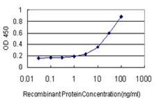 Detection limit for recombinant GST tagged MEF2A is approximately 1ng/ml as a capture antibody. (MEF2A anticorps  (AA 71-170))