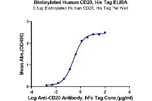 Immobilized Biotinylated Human CD20 at 5 μg/mL (100 μL/Well) on the plate.