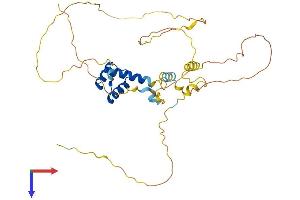 AlphaFold protein structure predicition of Human Recombinant VSX1 Protein, UniprotID Q9NZR4