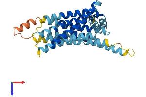 AlphaFold protein structure predicition of Human Recombinant TAS2R1 Protein, UniprotID Q9NYW7