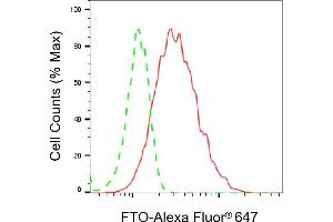 Flow cytometric analysis of FTO expression in HAP-1 cells using FTO antibody (ABIN7798581), 1:2,000).