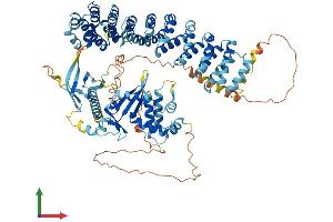 AlphaFold protein structure predicition of Mouse Recombinant Veph1 Protein, UniprotID A1A535