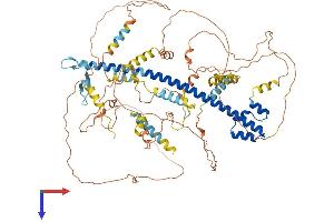 AlphaFold protein structure predicition of Human Recombinant NFE2L1 Protein, UniprotID Q14494