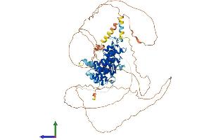 AlphaFold protein structure predicition of Mouse Recombinant Nfkbiz Protein, UniprotID Q9EST8