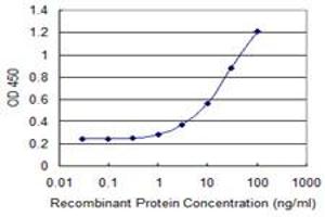 Detection limit for recombinant GST tagged RTKN2 is 0. (RTKN2 anticorps  (AA 1-163))