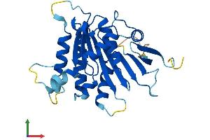 AlphaFold protein structure predicition of Mouse Recombinant Elp6 Protein, UniprotID Q8BK75