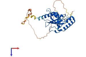 AlphaFold protein structure predicition of Human Recombinant AKTIP Protein, UniprotID Q9H8T0