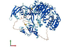 AlphaFold protein structure predicition of Mouse Recombinant Piwil1 Protein, UniprotID Q9JMB7