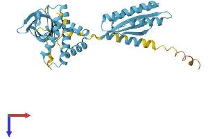 AlphaFold protein structure predicition of Human Recombinant EIF2S1 Protein, UniprotID P05198