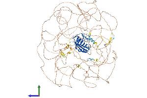 AlphaFold protein structure predicition of Mouse Recombinant Nktr Protein, UniprotID P30415