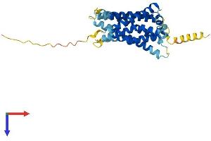 AlphaFold protein structure predicition of Mouse Recombinant Mrgprx1 Protein, UniprotID Q8CIP3