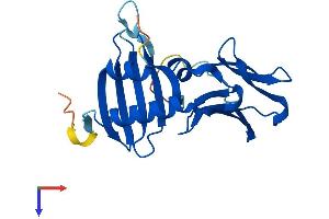 AlphaFold protein structure predicition of Human Recombinant DPCD Protein, UniprotID Q9BVM2