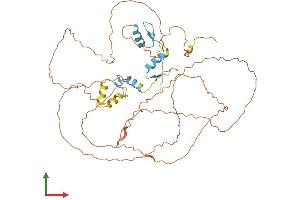 AlphaFold protein structure predicition of Mouse Recombinant Sp8 Protein, UniprotID Q8BMJ8