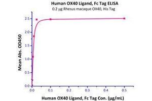 Immobilized Rhesus macaque OX40, His Tag (Cat# OX0-C5220) at 2 μg/mL (100 μl/well) can bind Human OX40 Ligand, Fc Tag (Cat# OXL-H526x) with a linear range of 0.
