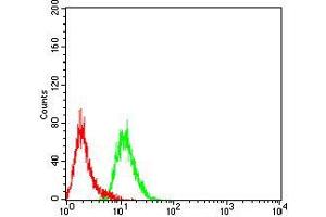 Flow cytometric analysis of Hela cells using DHX58 mouse mAb (green) and negative control (red). (DHX58 anticorps  (AA 479-678))
